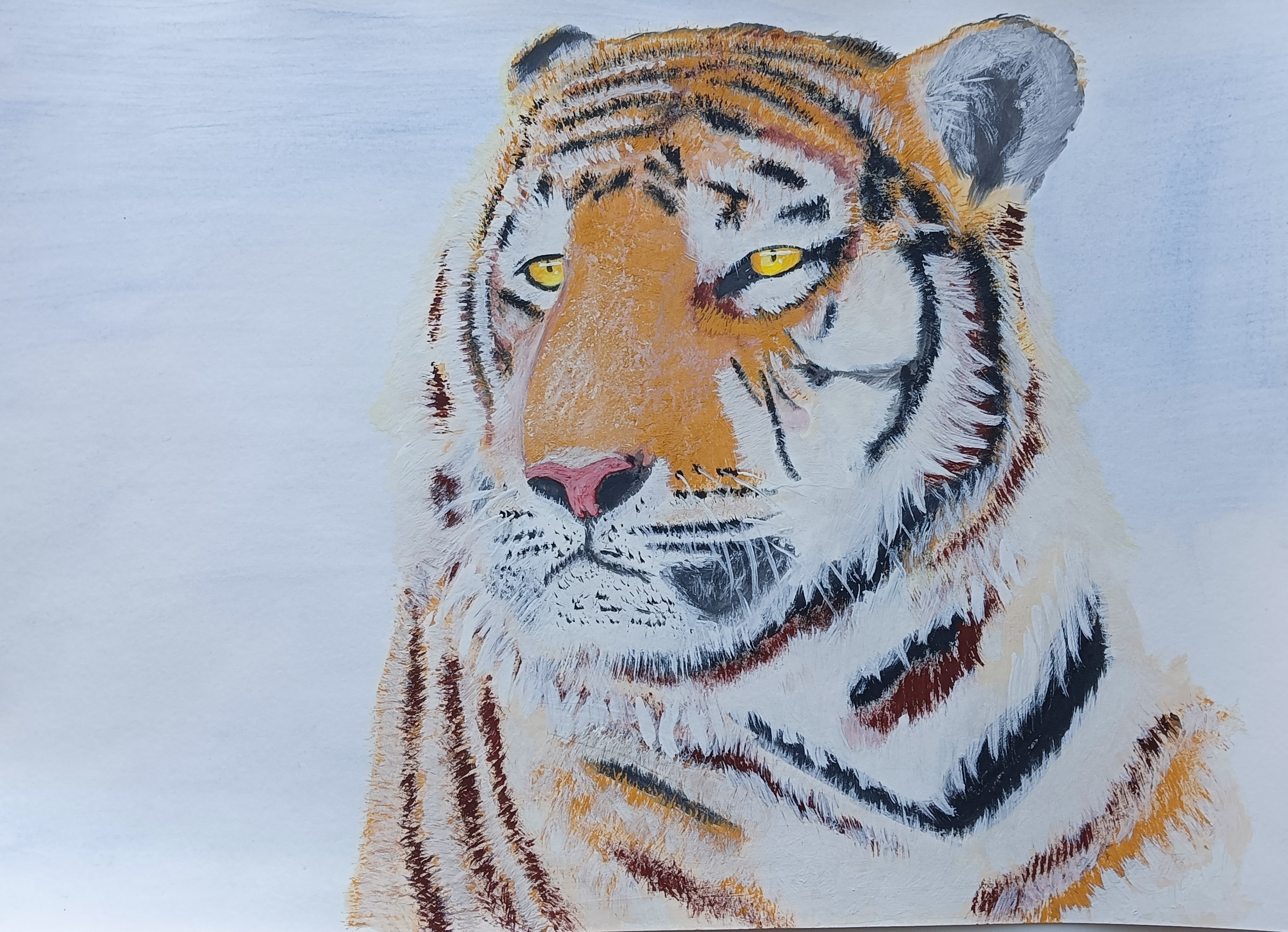 Рожденные в год тигра в 2024. Амурский тигр рисунок. Рисование Амурский тигр подготовительная группа. Рисование Амурский тигр старшая. Амурский тигр рисунок на конкурс.